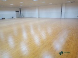 大學體育地板更便宜的多少錢一平方米