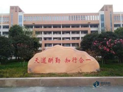 單層龍骨籃球體育地板更便宜的多少錢一平方米