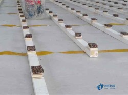 45度斜鋪龍骨籃球體育地板哪家便宜