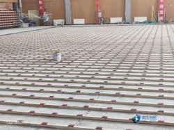 大學籃球體育地板多錢一平