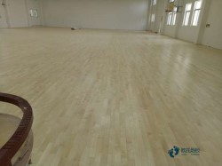 籃球場木地板楓木