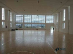 籃球專用木地板分級