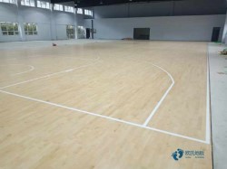 雙層龍骨運動體育木地板清潔保養