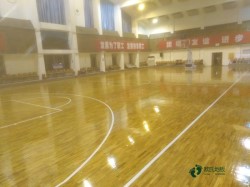 體育館地板品牌大全
