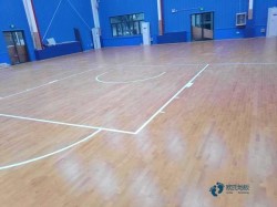 板式龍骨運動體育地板大概多少錢