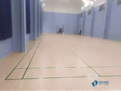 全國體育館專用木地板廠家