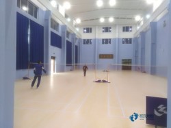 常見體育地板哪家便宜