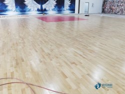 購買運動場地木地板較好的有哪些牌子