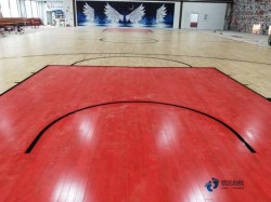 行業籃聯運動木地板十大品牌