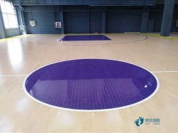 單層龍骨運(yùn)動(dòng)體育地板多錢一平