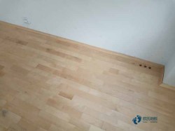 體育運動實木地板品牌有哪些