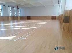 雙層運(yùn)動(dòng)木地板品牌